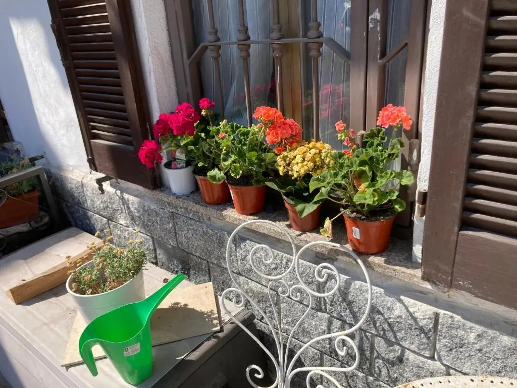 Room Saronno + B&B