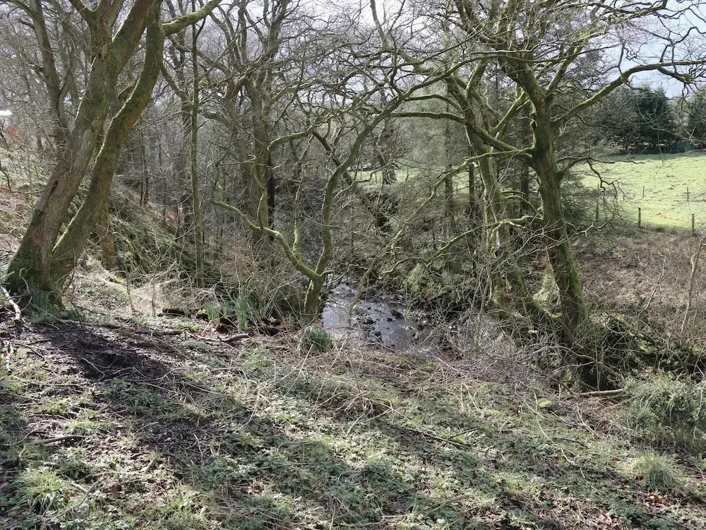 Malham