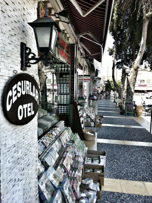 Cesurlar Hotel