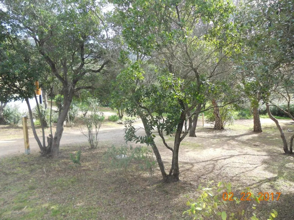 Chambres La Falcia - Figari - Corse Du Sud