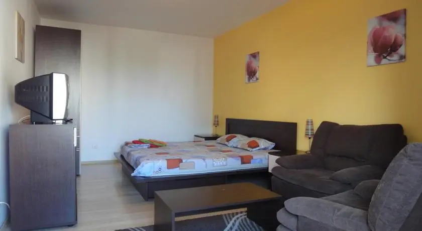 Confort Accommodation Apartments - 13 Septembrie