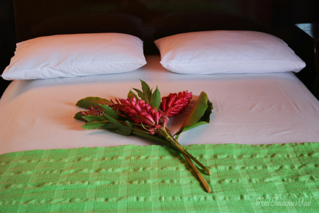 Hotel Amazonas Real