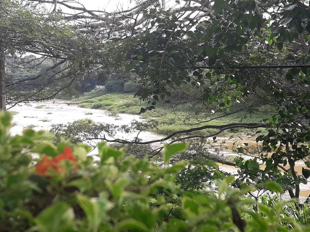 Riverine Cascade