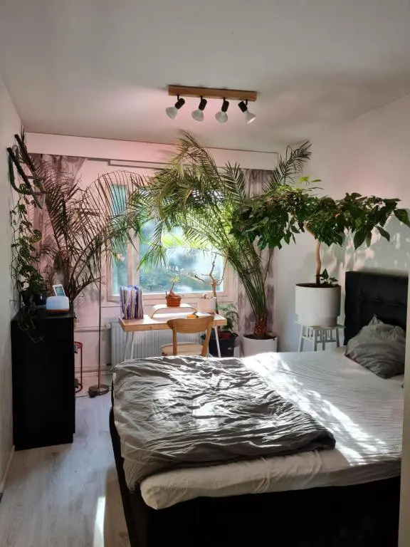 Paradise apartment