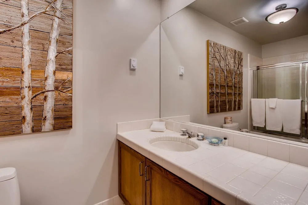 Centennial Studio Condo Unit 11a