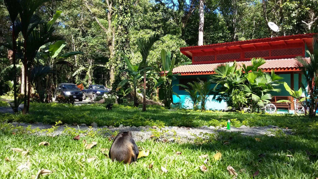 Villa Piňa dorada dependencia del hotel Casa Merlin