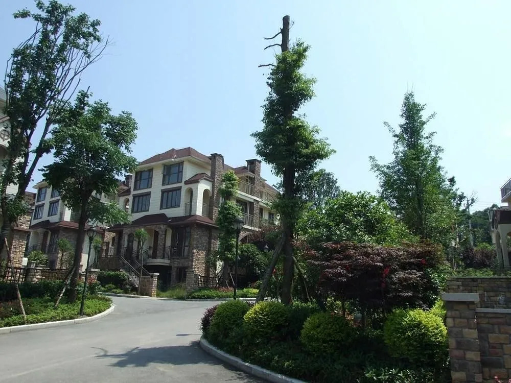Wulong Fairy Mountain Xuansu Resort Camp