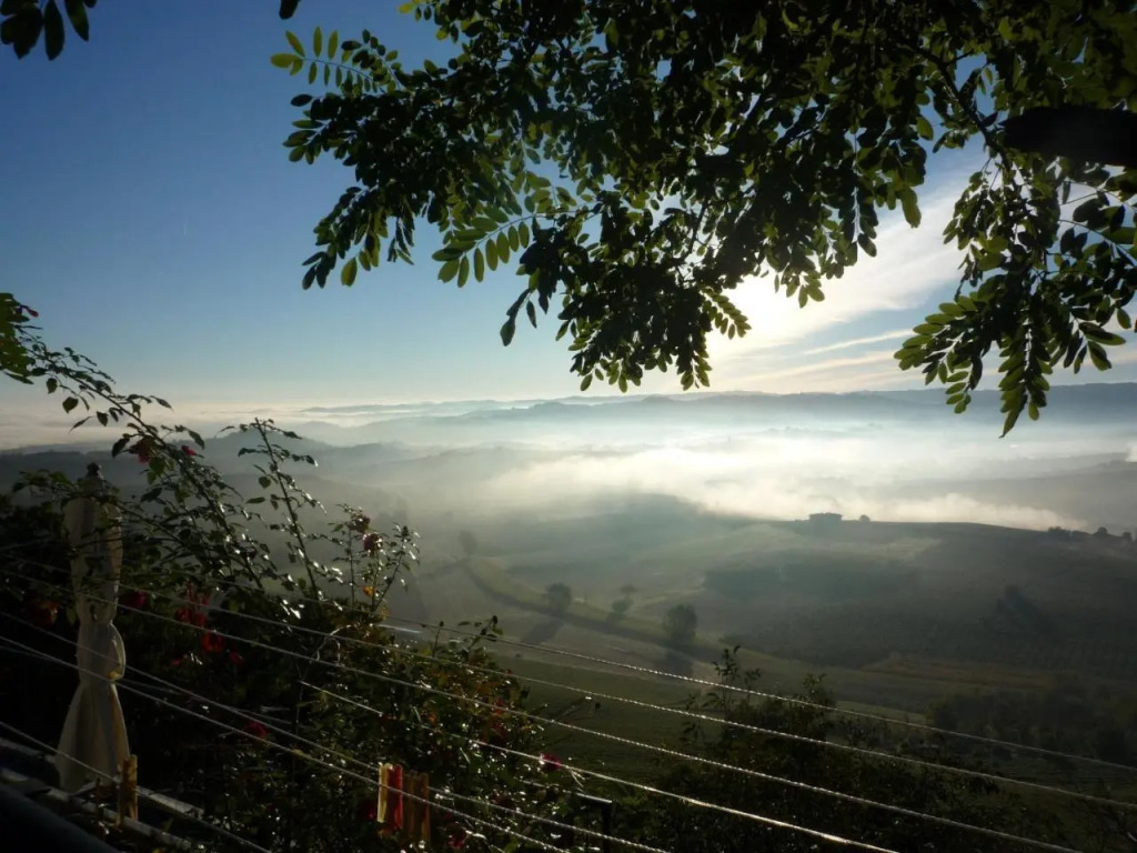 La Vigna Del Parroco