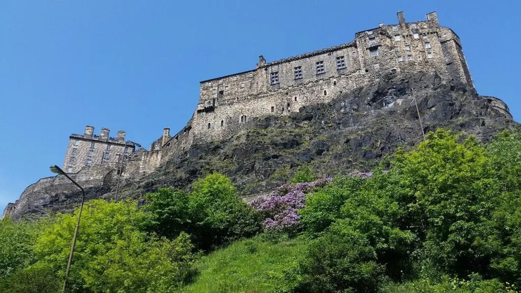 The Wee Thistle