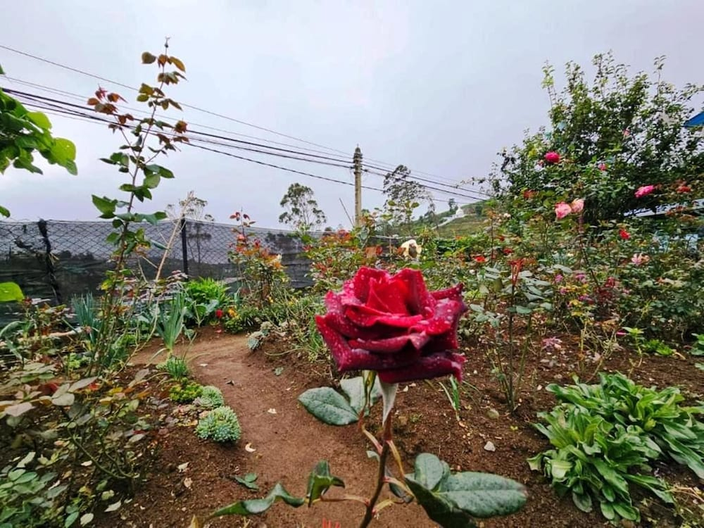 Aurora Residence Nuwara Eliya