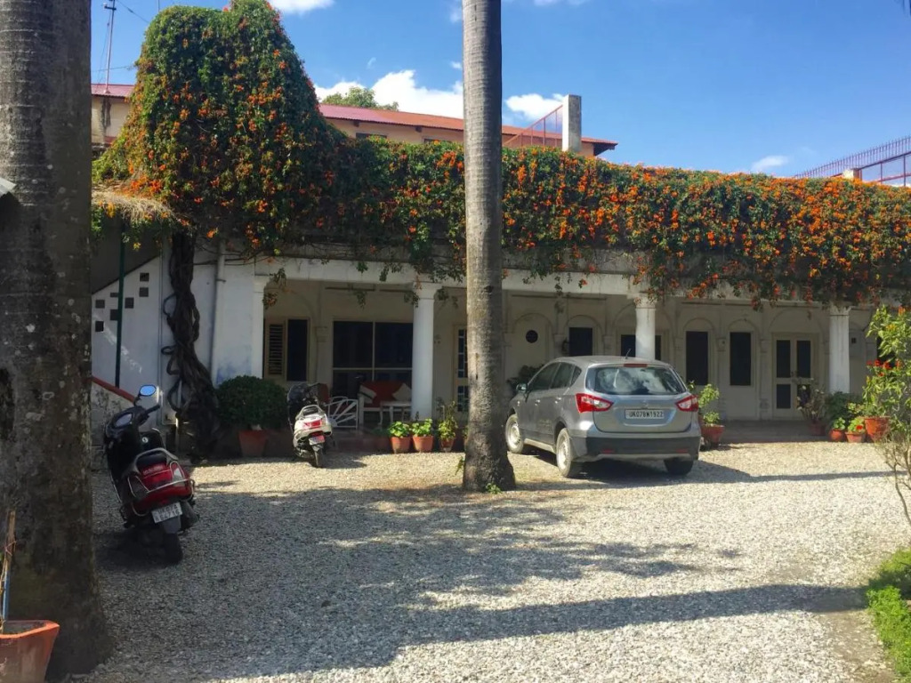Mango Tree Courtyard Dehradun