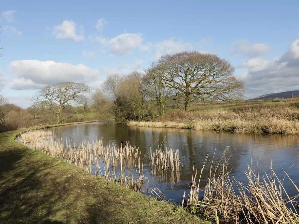 The Furrows
