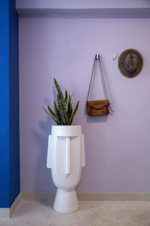 The Frogs_Guest House
