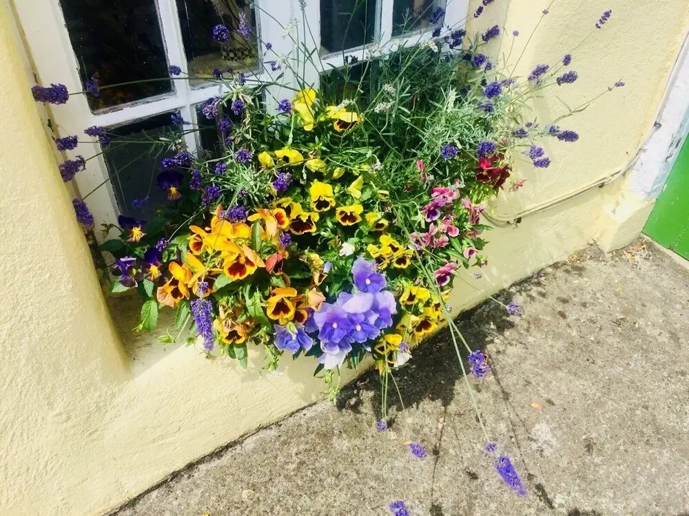 The Tower House B&B