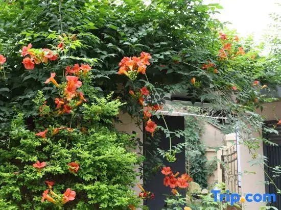 Linhai Suyuan Homestay