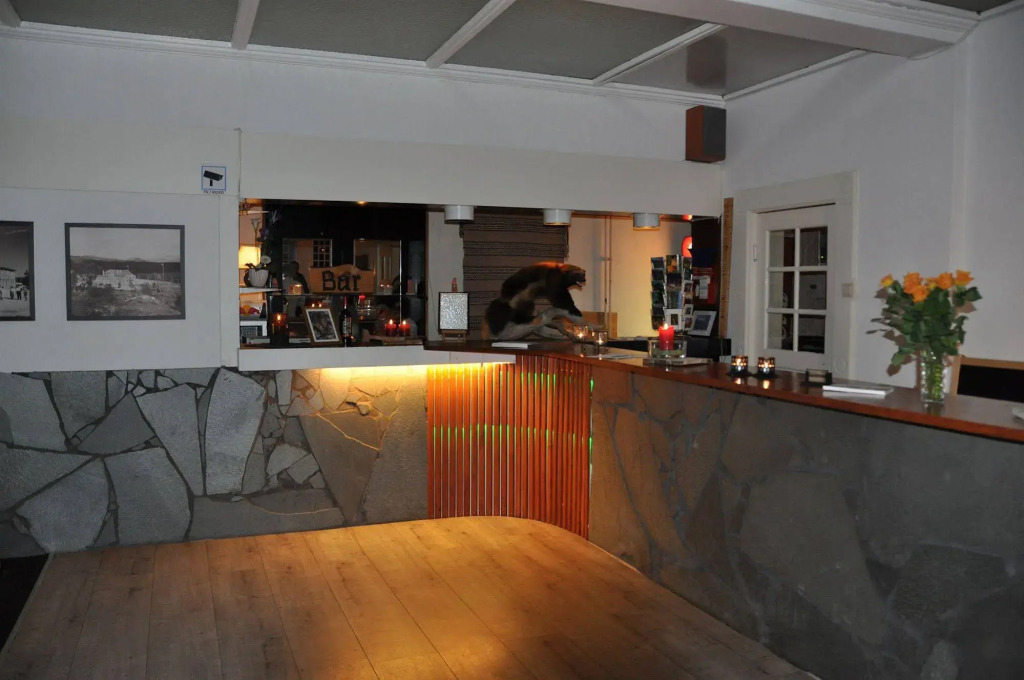 Saltfjellet Hotell Polarsirkelen