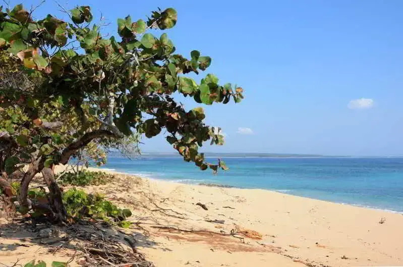 Villa Cayo Saetia