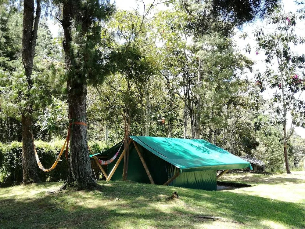 al Bosque Hostel & Glamping