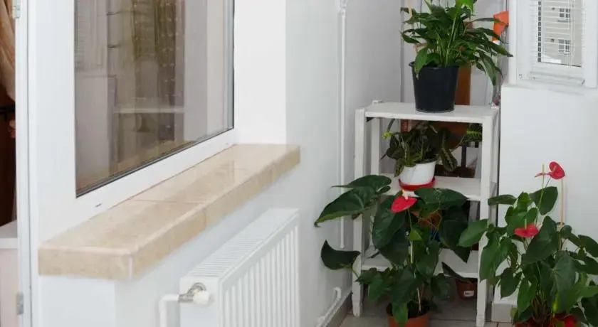 Balsim Apartment