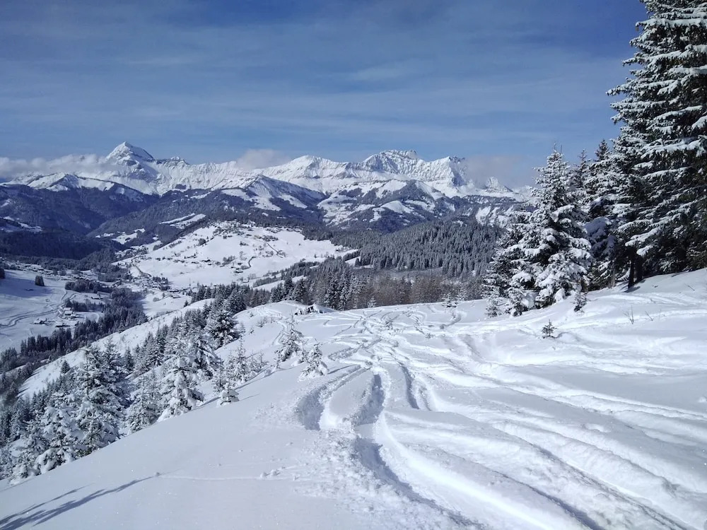 Chalets Savoie Les chalets dHeidi
