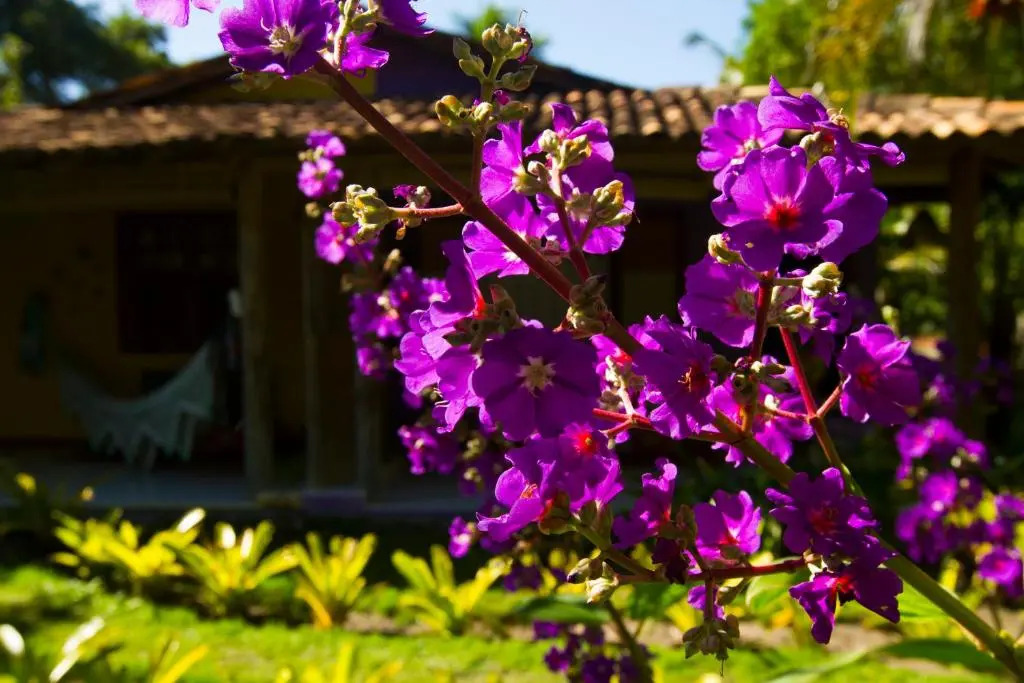 Pousada Casa da Praia
