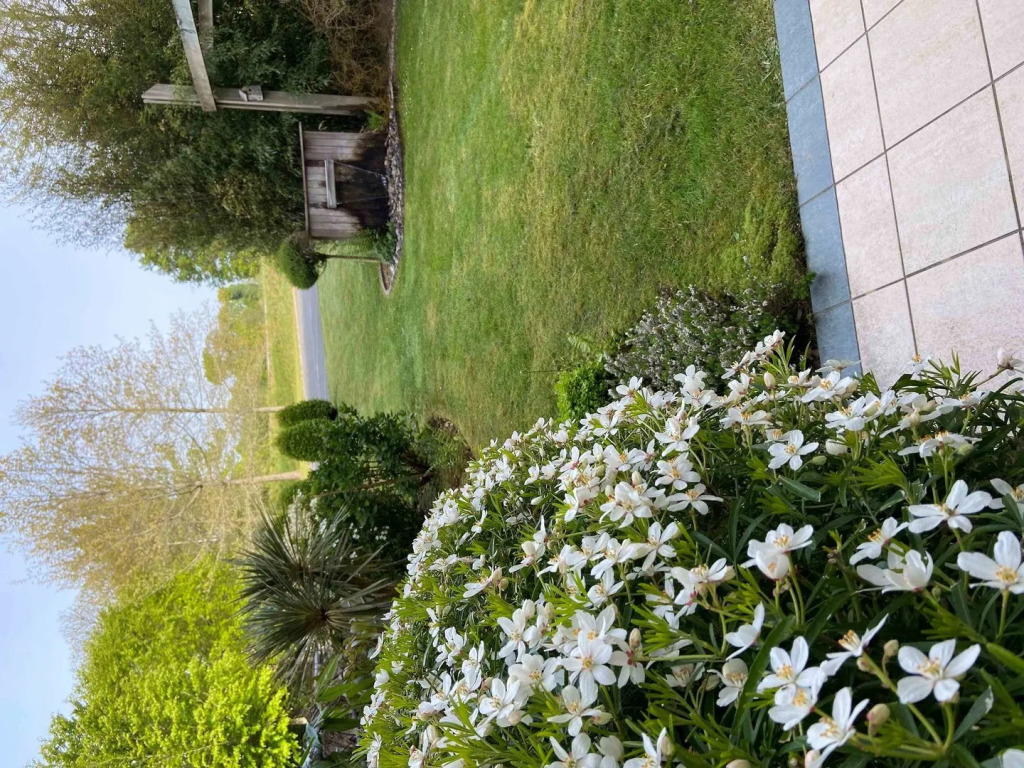 ibis Styles Pontivy centre Bretagne
