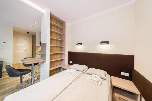 Luxury apartment Old Town Rakowicka street