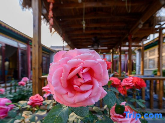 Floral Hotel·Beijing Yiguangnian Xiaoyuan hotel (Changping Shisanling Reservoir Science Park Branch)