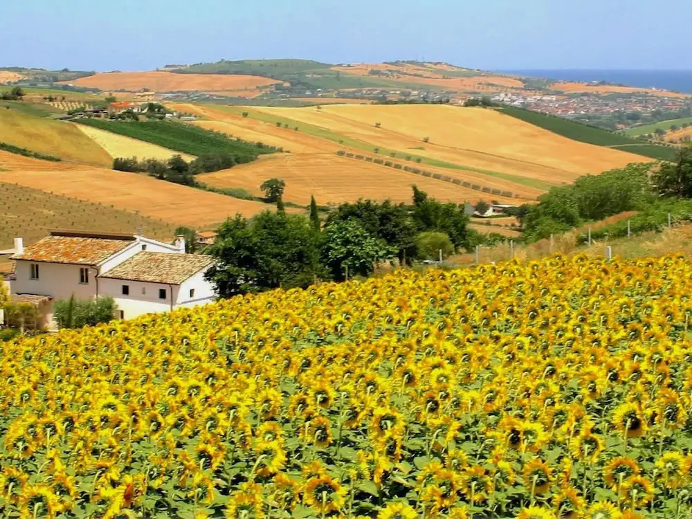Agriturismo Madonnabruna