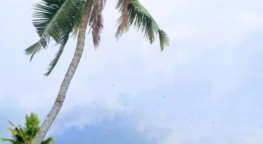 Vijaya Varma Beach Resort