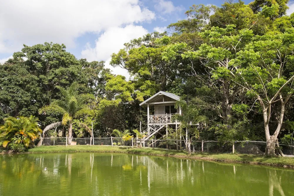 Farino Lodge