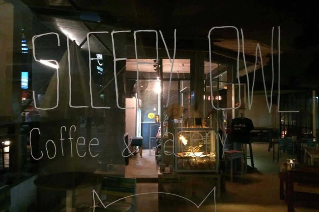 Sleepy Owl Hostel