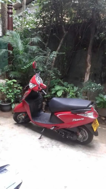 Mango Tree Rooms