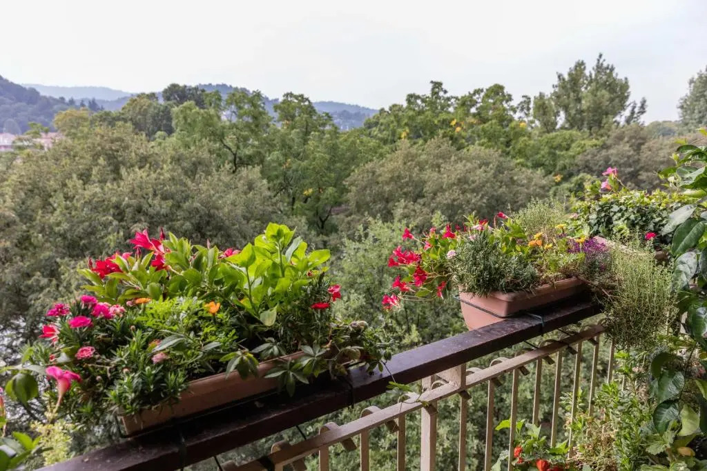 La Terrazza Sul Po