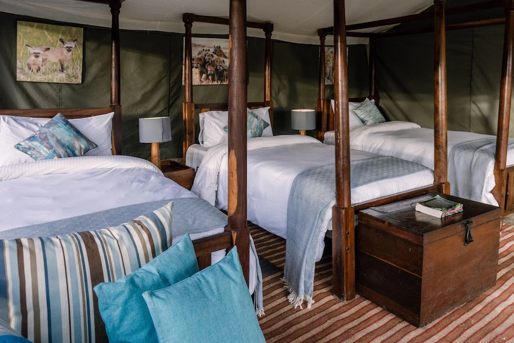Serengeti Migration Camp