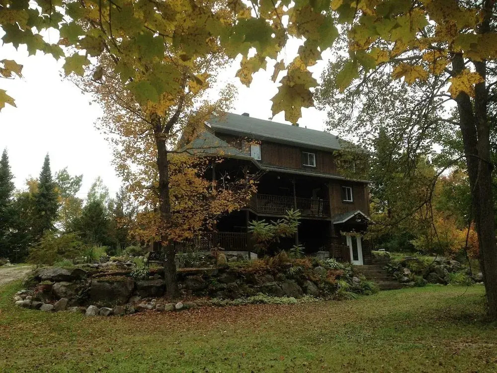 The White Rabbit B&B