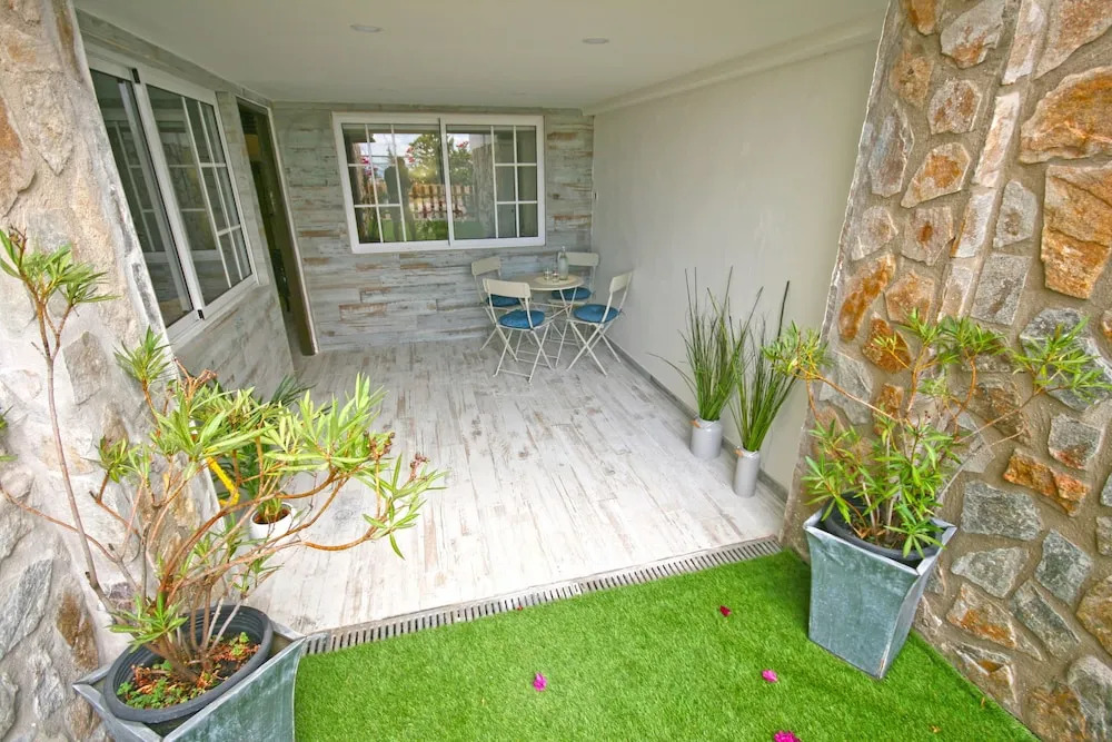 Palmeras GrupalMálaga