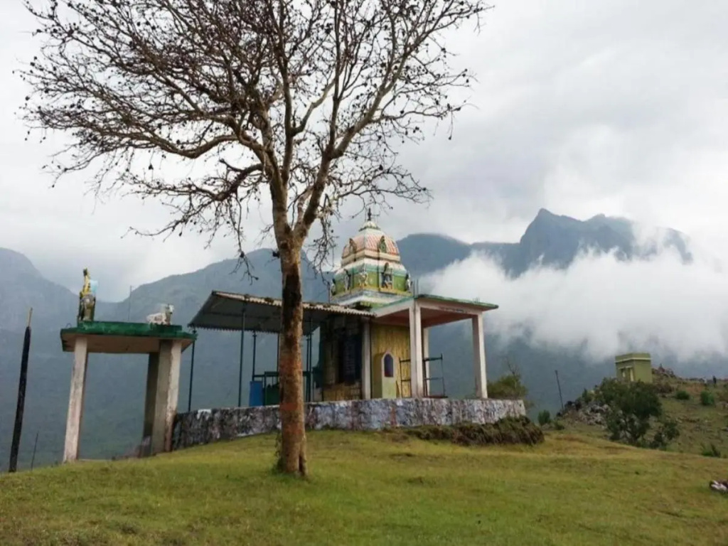 Jungle Hut Resort