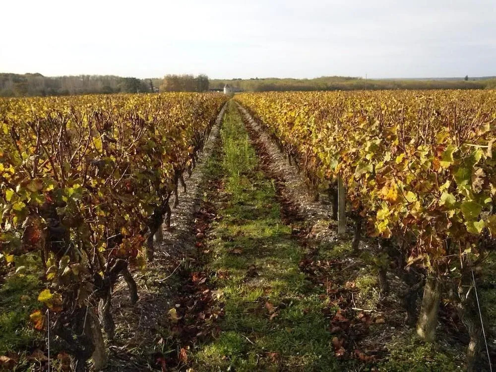 les Ormeaux