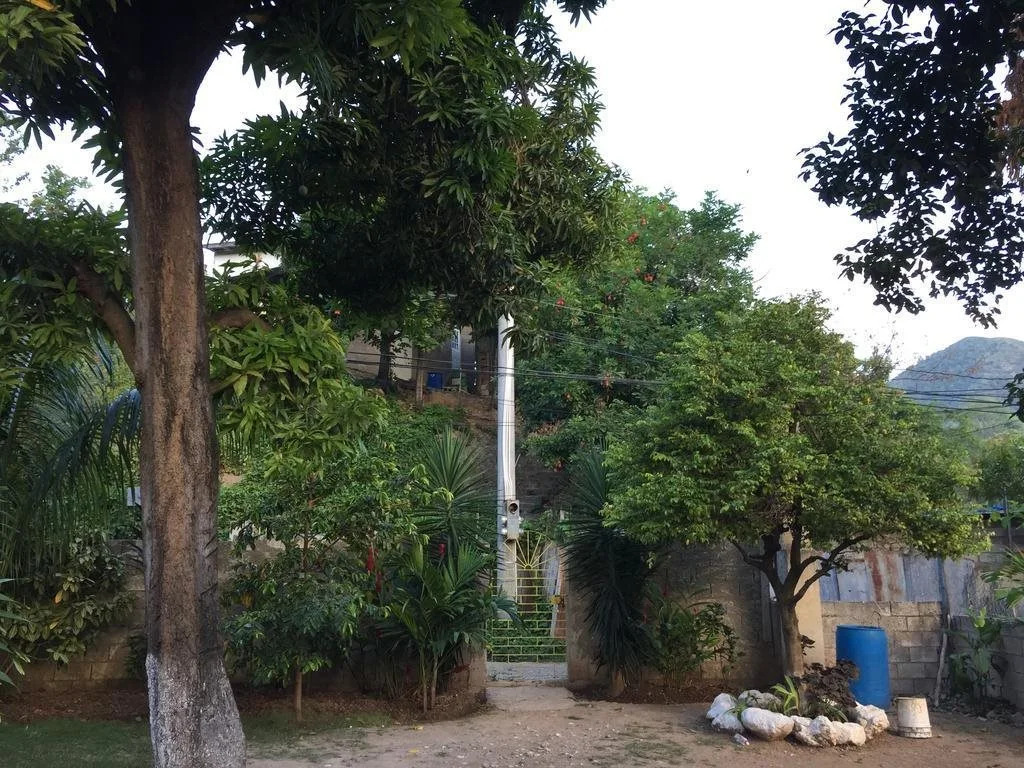 Mango Inn Kingston