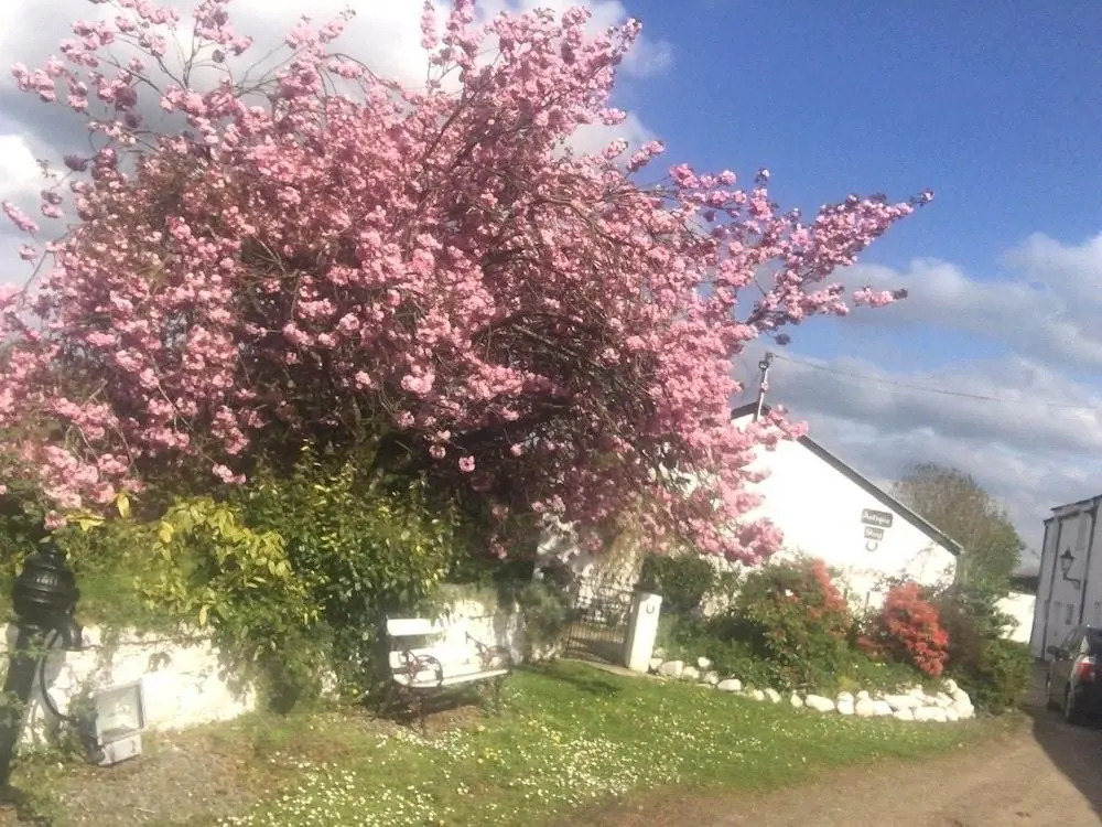 Kingsmills Cottages