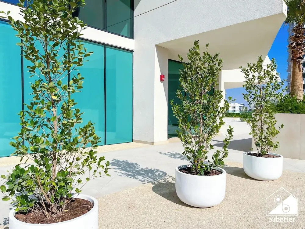 Binghatti Phantom Bliss 1BR With Private Pool