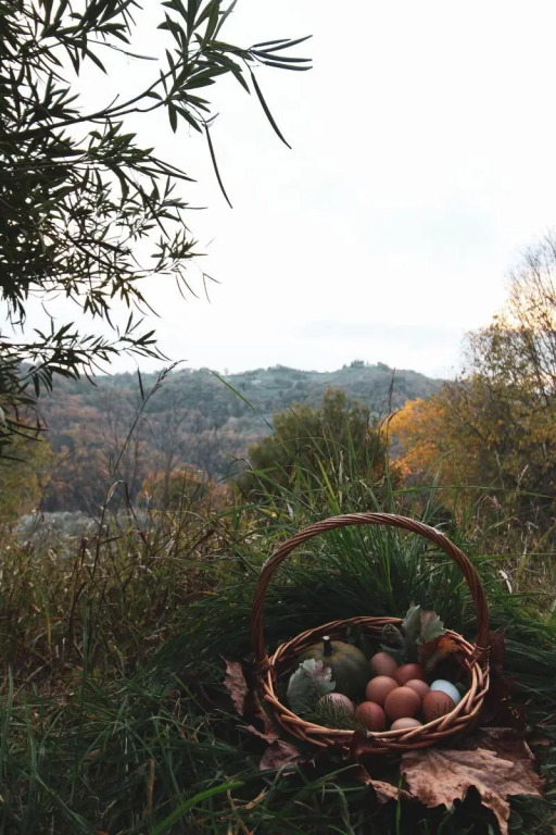 La Tenuta - Resort Agricolo