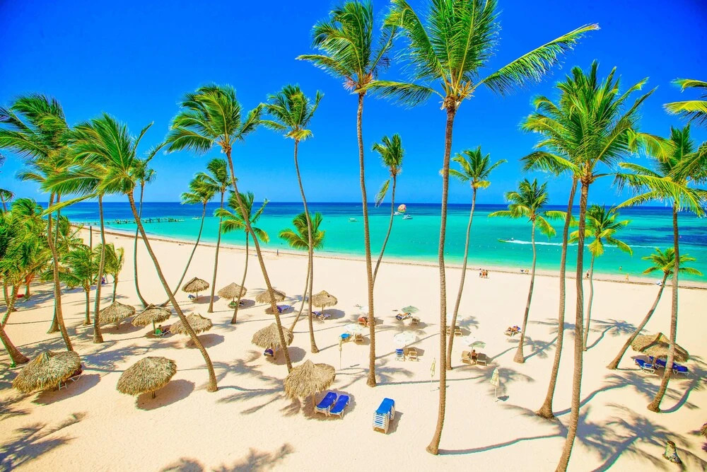 Everything Punta Cana - Top Beachfront