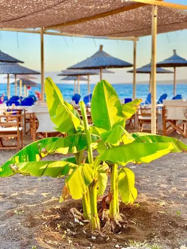 Zoom Beach Hotel