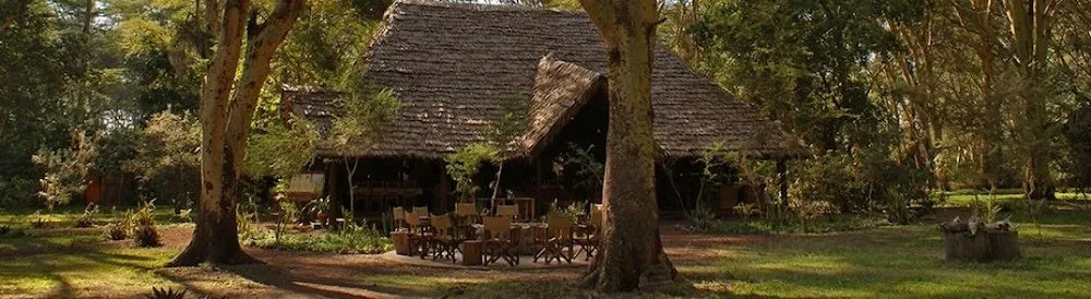 Migunga Forest Camp
