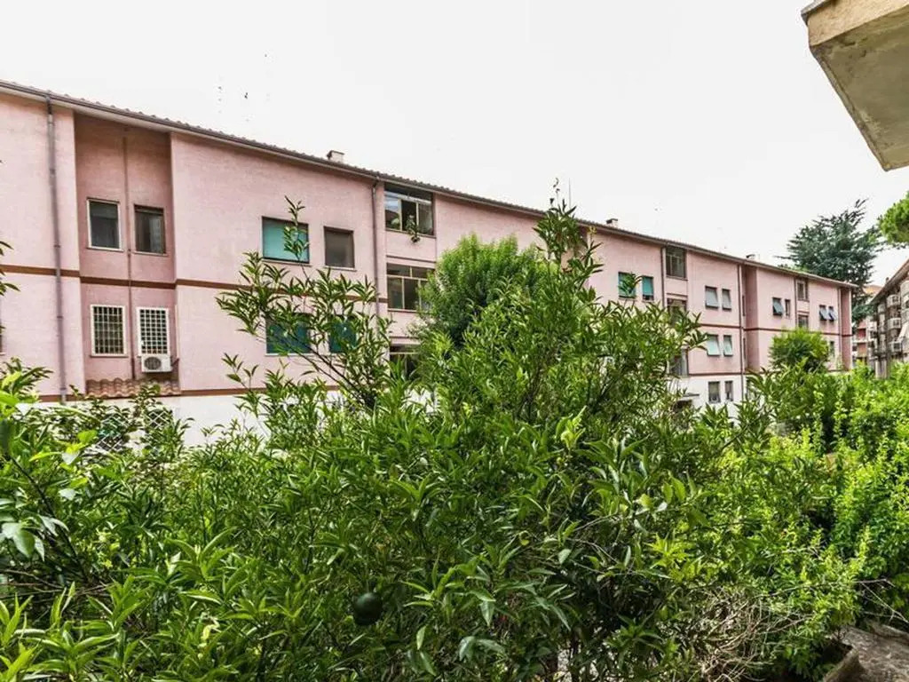 Roma Holiday And Jubilee House