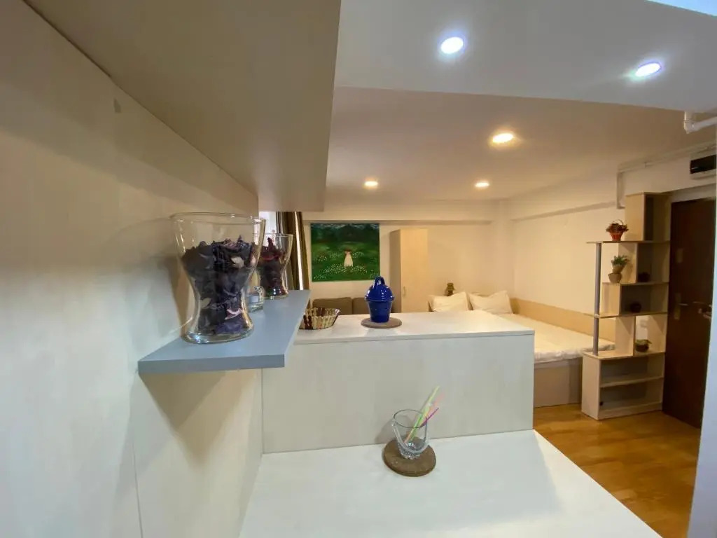 Sinaia Mirage Studio - Self Check-in & Self services! The studio is located 700 meters from the city center, 600 meters from the Peleș Castle in Sinaia - Plata si cu card vacanta