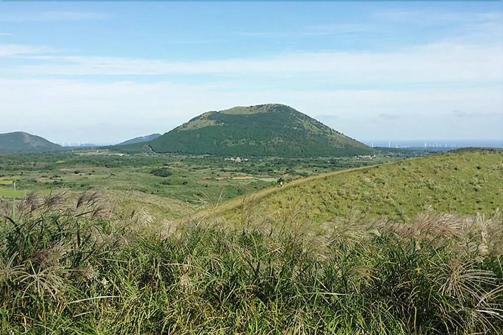Seogwipo Hae-dam Pension