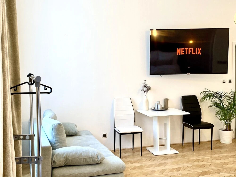 Apartment Opletalova 10